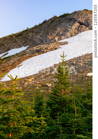 Mountain slope in snow and spruce forest in sunset light. 128567205