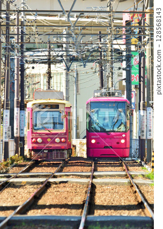 都電荒川線(東京櫻花電車)7700系列(7707)和8800系列(8804) 都電荒川線(東京櫻花電車)7700系列(7707)和8800系列(8804) 128568143