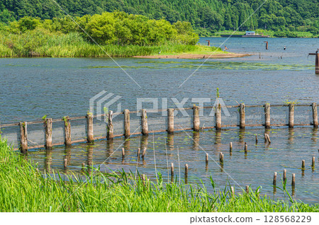 Lake Biwa in summer, Nagahama City, Shiga Prefecture 128568229