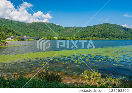 夏季的琵琶湖，滋賀郡長濱市 128568233