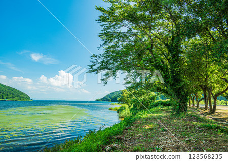 夏季的琵琶湖,滋賀郡長濱市 夏季的琵琶湖,滋賀郡長濱市 128568235