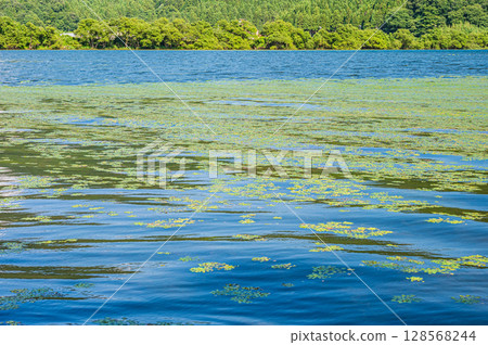 Lake Biwa in summer, Nagahama City, Shiga Prefecture 128568244