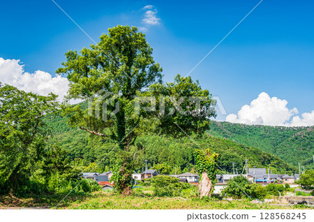 Lake Biwa in summer, Nagahama City, Shiga Prefecture Lake Biwa in summer, Nagahama City, Shiga Prefecture 128568245