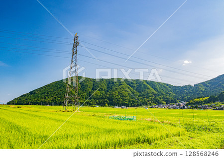 Rural scenery of Nishiasai, Lake Biwa, Nagahama City Rural scenery of Nishiasai, Lake Biwa, Nagahama City 128568246