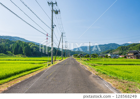 長濱市琵琶湖西夏西的田園風光 長濱市琵琶湖西夏西的田園風光 128568249