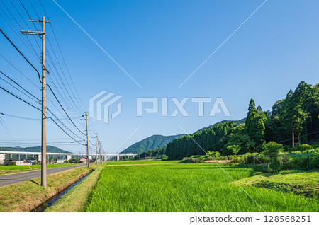 長濱市琵琶湖西夏西的田園風光 長濱市琵琶湖西夏西的田園風光 128568251