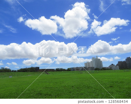 Riverbed of the Tama River in Ota Ward 128568434