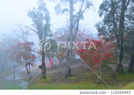 Sogaki瀑佈公園在秋天 128568445