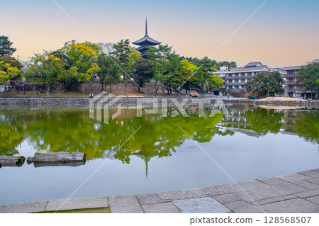 Sarusawa池塘 128568507