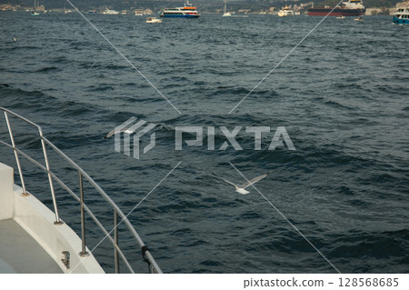 Seagulls glide above the rippling water as boats pass by Seagulls glide above the rippling water as boats pass by 128568685