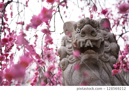 粉紅色的守護獅 128569212