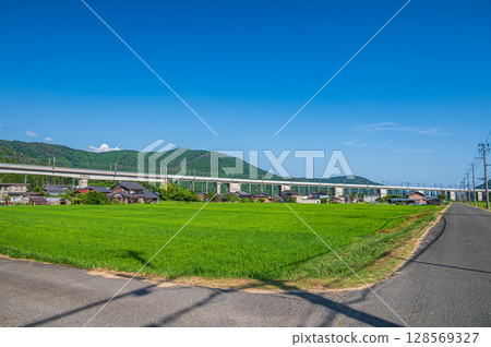 穿過滋賀縣長濱市西亞西町鄉村的湖西線高架橋 128569327