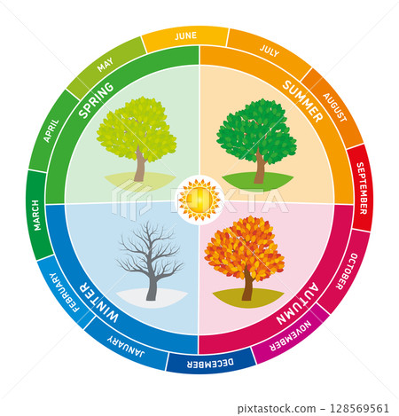 Annual cycle. A circular chart depicts the four seasons, each represented by a tree showing changes in foliage. Months arranged around outer edge, indicating transitions from spring through winter. 128569561