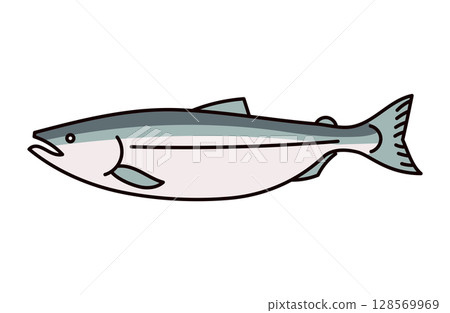 Salmon illustration Salmon illustration 128569969