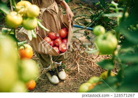 Vegetables in the clothes. Little girl is in the garden with tomatoes Vegetables in the clothes. Little girl is in the garden with tomatoes 128571267