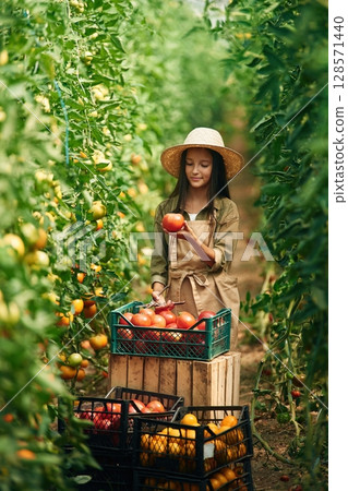 Front view, standing. Little girl is in the garden with tomatoes 128571440