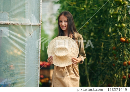 Standing, near greenhouse. Little girl is in the garden with tomatoes 128571449