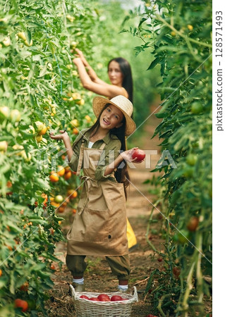 Helping mother. Woman and girl are in the garden with tomatoes together Helping mother. Woman and girl are in the garden with tomatoes together 128571493