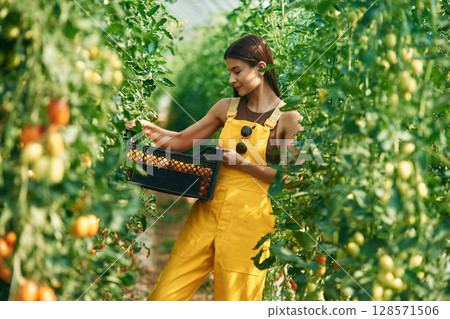 Young woman in yellow uniform is in garden with vegetables Young woman in yellow uniform is in garden with vegetables 128571506