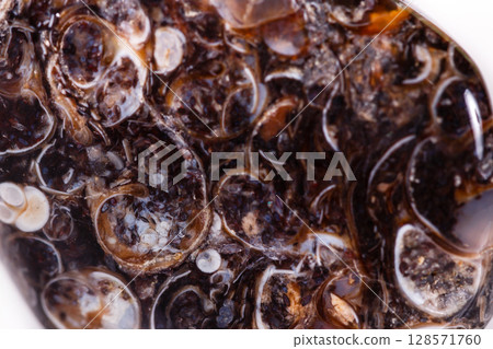 Macro mineral agate fossil fossilized with fossilized turtles on white background 128571760
