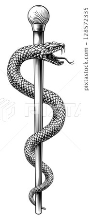 Rod of Asclepius Caduceus Medical Doctor Symbol Rod of Asclepius Caduceus Medical Doctor Symbol 128572335