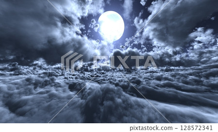 Moonlit night 128572341