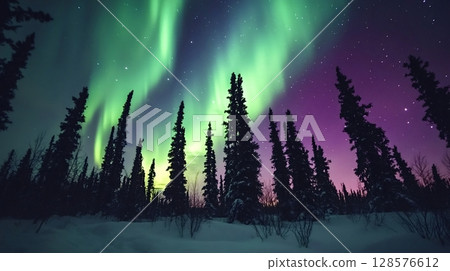 Northern lights illuminating winter forest in alaska Northern lights illuminating winter forest in alaska 128576612