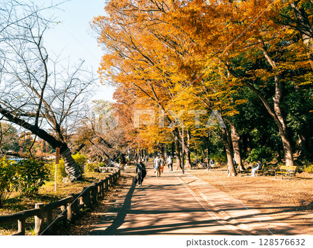Kichijoji Autumn Inokashira Park 128576632
