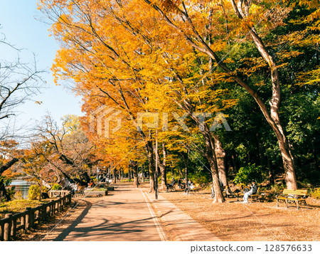 吉祥寺秋天的井之頭公園 吉祥寺秋天的井之頭公園 128576633