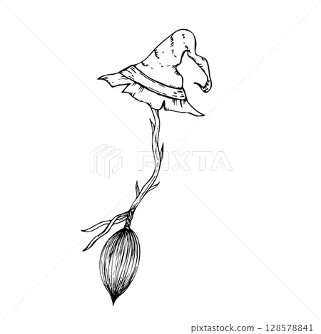Vector flying witch broom with hat. Hand painted linear wizard halloween illustration. Graphic monochrome sketch isolated on background. For designers, prints, logo, icon, menu, postcards, holiday Vector flying witch broom with hat. Hand painted linear wizard halloween illustration. Graphic monochrome sketch isolated on background. For designers, prints, logo, icon, menu, postcards, holiday 128578841