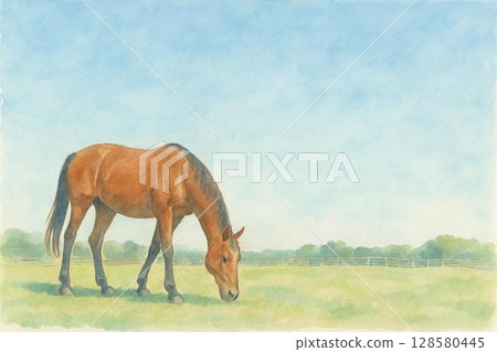 牧場風光,薩拉伯里德 牧場風光,薩拉伯里德 128580445