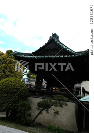 春天，海雲寺的垂枝櫻花盛開 128581673