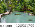 Ban Nam Rad Forested watersheds in Surat Thani, Thailand. 128581755