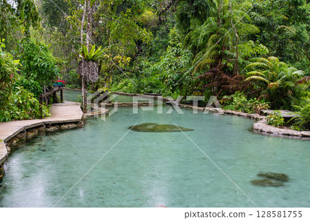 Ban Nam Rad Forested watersheds in Surat Thani, Thailand. Ban Nam Rad Forested watersheds in Surat Thani, Thailand. 128581755