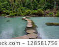 Ban Nam Rad Forested watersheds in Surat Thani, Thailand. 128581756