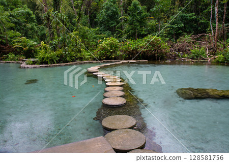 Ban Nam Rad Forested watersheds in Surat Thani, Thailand. Ban Nam Rad Forested watersheds in Surat Thani, Thailand. 128581756