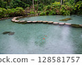 Ban Nam Rad Forested watersheds in Surat Thani, Thailand. 128581757