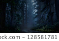 Dark Forest 9 128581781