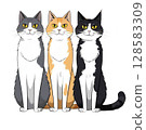 Cat, black cat, black and white cat, animal Line art 128583309