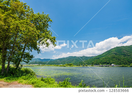 琵琶湖:從岸邊眺望,滋賀郡長濱市 琵琶湖:從岸邊眺望,滋賀郡長濱市 128583666