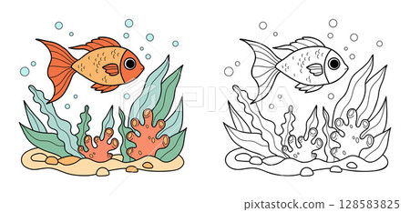 Tropical Fish with algae and corals on seabed. Guppy goldfish set. Outline and color drawing. Coloring Page. Vector illustration. Kids collection Tropical Fish with algae and corals on seabed. Guppy goldfish set. Outline and color drawing. Coloring Page. Vector illustration. Kids collection 128583825