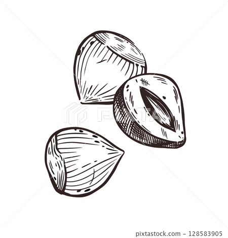Hazelnut, whole hazelnut and half hazelnut. Vector illustration hand-drawn with ink. For printing on the packaging of products with nuts, cosmetics, tableware and kitchen textiles. Vector illustration Hazelnut, whole hazelnut and half hazelnut. Vector illustration hand-drawn with ink. For printing on the packaging of products with nuts, cosmetics, tableware and kitchen textiles. Vector illustration 128583905
