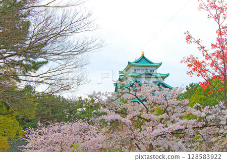 愛知縣名古屋市櫻花盛開和名古屋城的景色 128583922