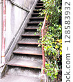 Stairs of an old abandoned residential building 128583932