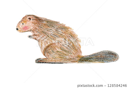 Cute color crayon pencils drawing brown beaver with big tail. Childish hand drawn textured illustration with forest animal for kid greeting card design, children banner, sticker, wildlife poster 128584246