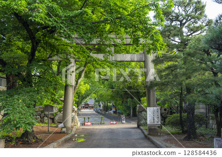 京都藤森神社南門被新綠環繞 京都藤森神社南門被新綠環繞 128584436
