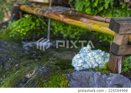 京都之夏：藤森神社、富士山水、繡球花 128584466