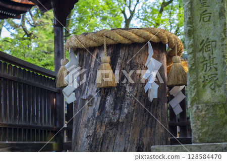 Summer in Kyoto: Fujimori Shrine, Hatazuka and Yew Tree Summer in Kyoto: Fujimori Shrine, Hatazuka and Yew Tree 128584470