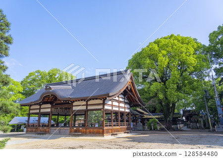 京都的夏天:藤森神社、拜殿與正殿 京都的夏天:藤森神社、拜殿與正殿 128584480