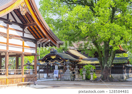Summer in Kyoto: Fujinomori Shrine, worship hall and main hall Summer in Kyoto: Fujinomori Shrine, worship hall and main hall 128584481